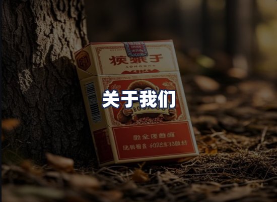 关于我们